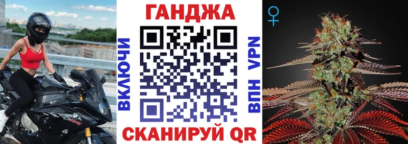 Купить закладки  Петров Вал  Марихуана сатива 